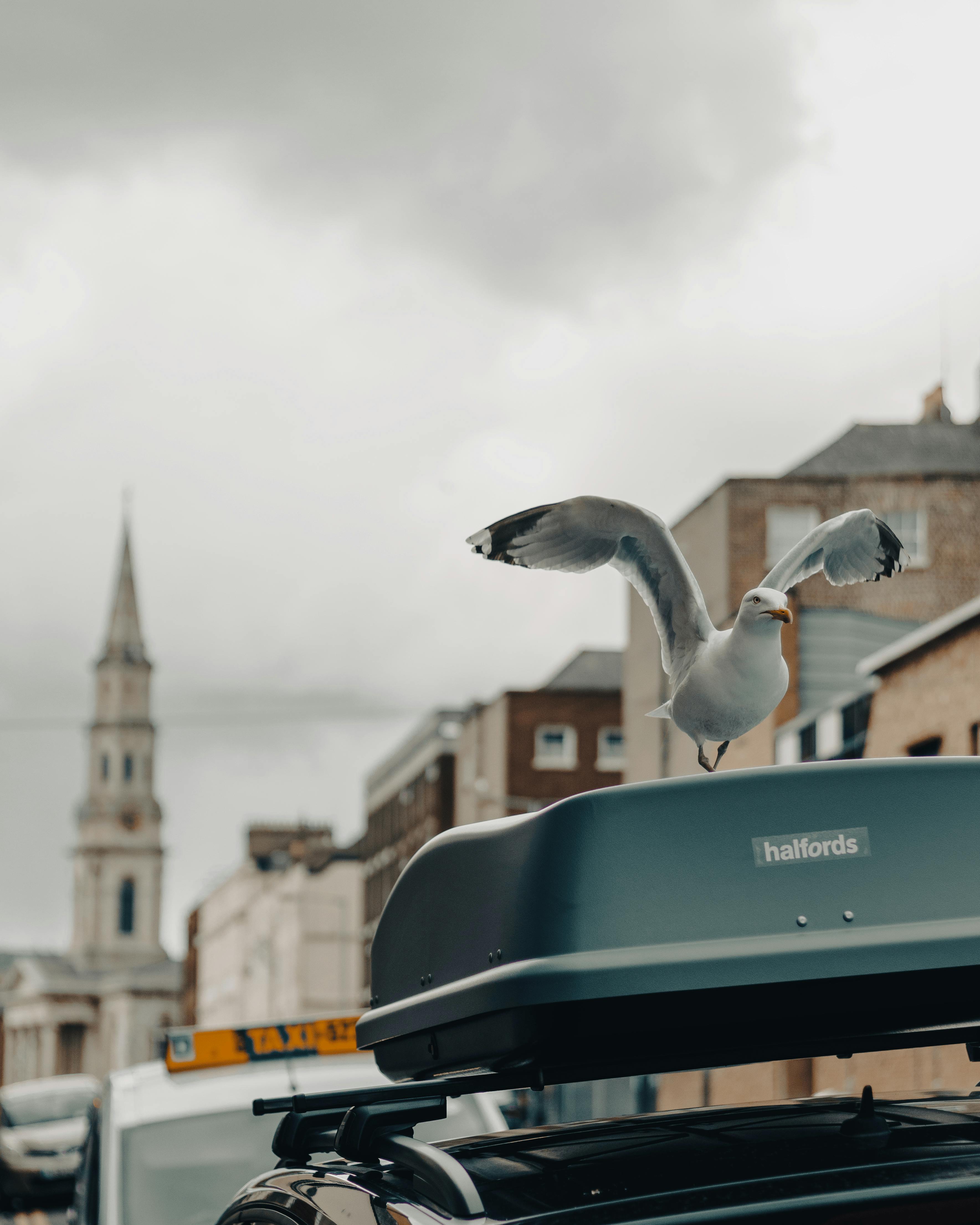 O mașină modernă, albă, cu linii aerodinamice fluide.