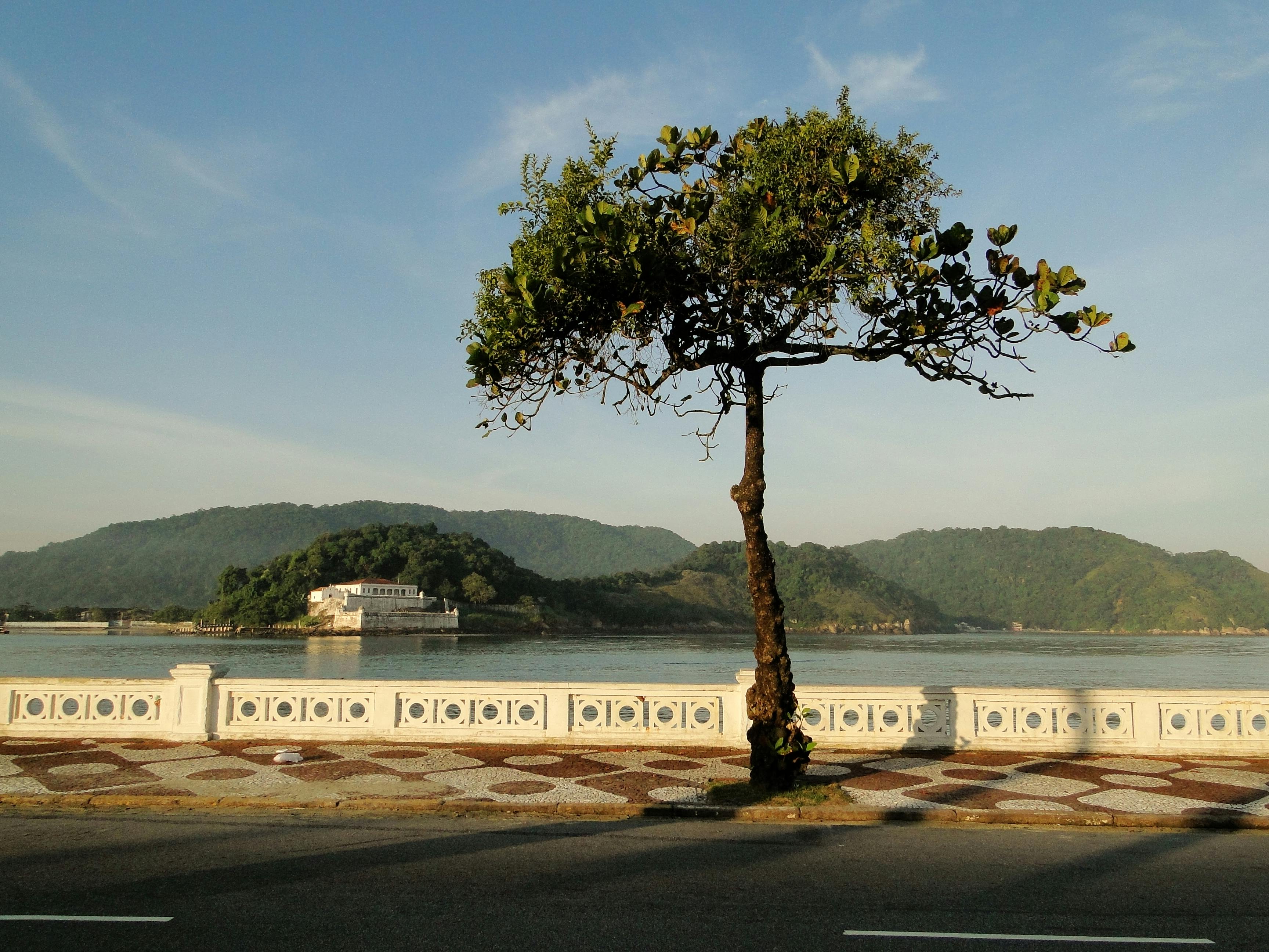 SUV-uri în pantă — un exemplu de situație unde bara rigidă e mai bună