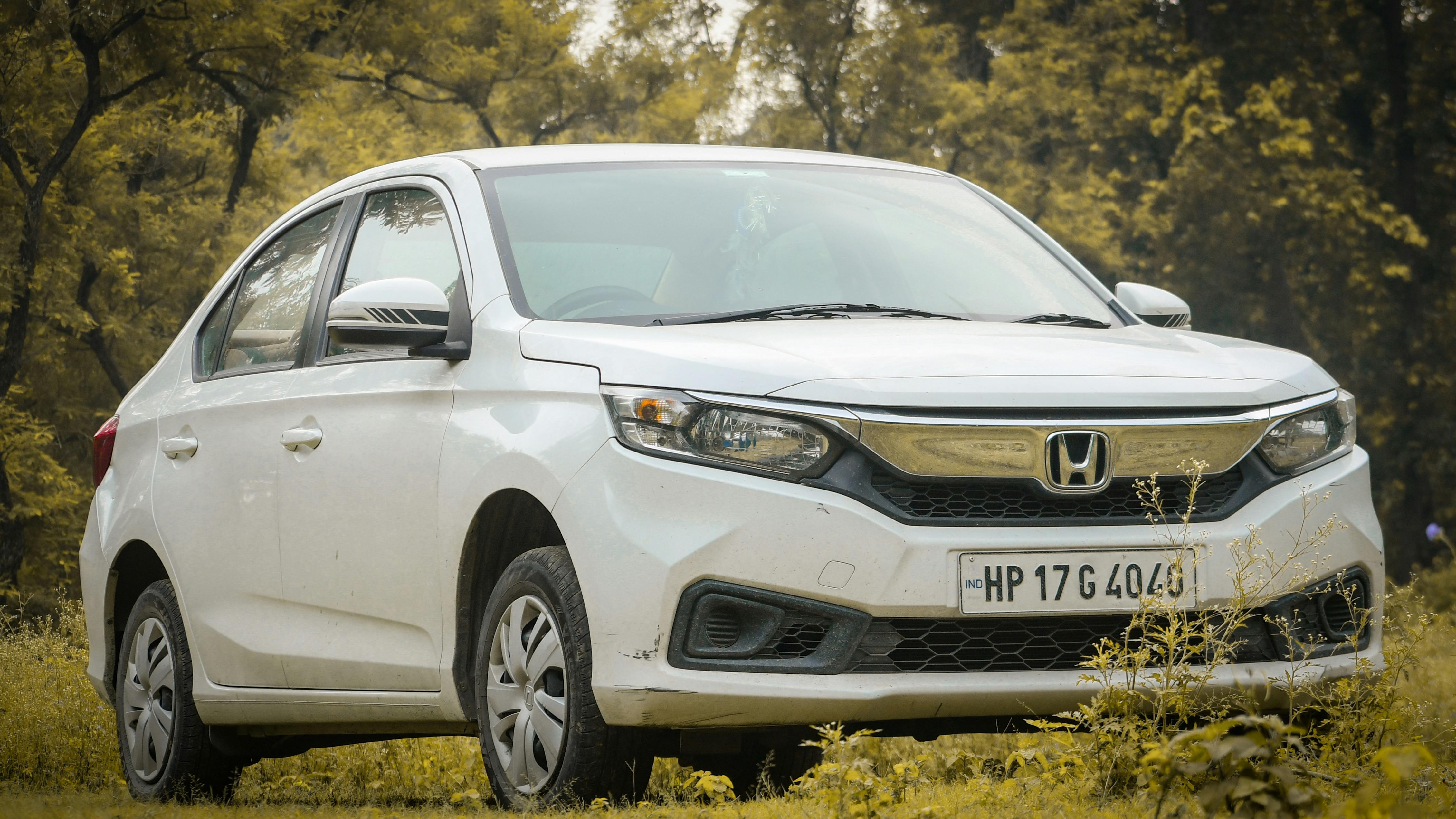 Белый компактный седан среди деревьев